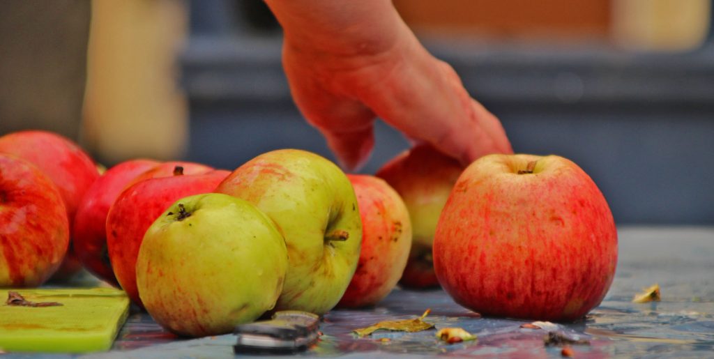 apples hand 2 (2)
